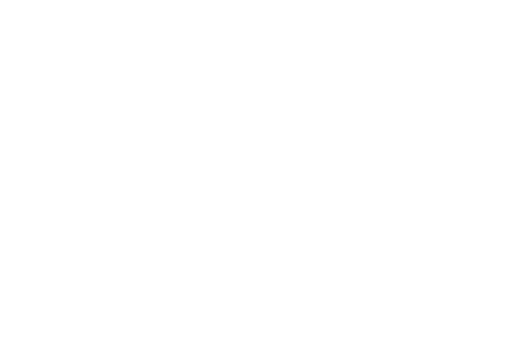 Evolmix Equinos